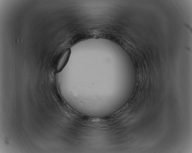 X0000094080611200710190919