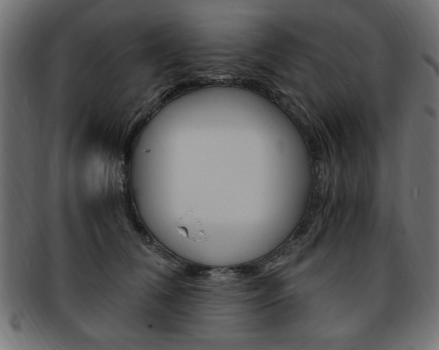 X0000094080612200710190919