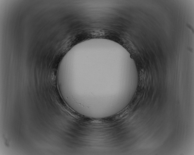 X0000094080614200710190919