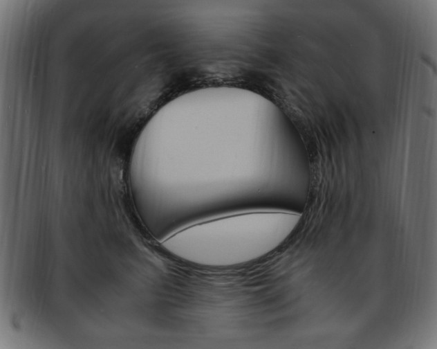 X0000094080615200710190919