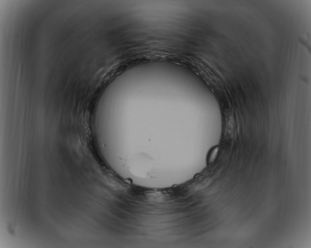 X0000094080616200710190919