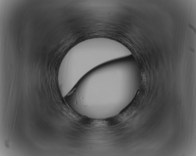 X0000094080617200710190919