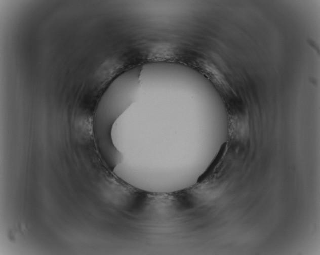 X0000094080621200710190919
