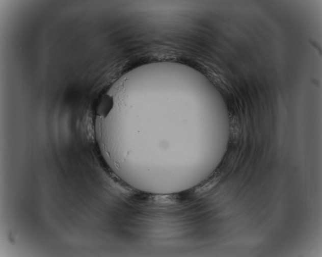 X0000094080622200710190919