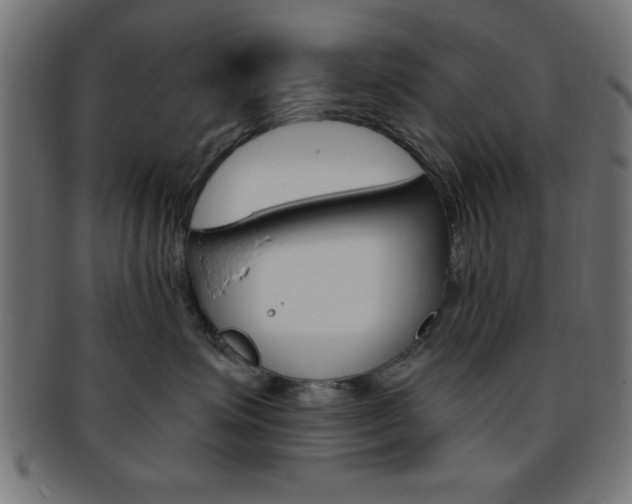 X0000094080623200710190919