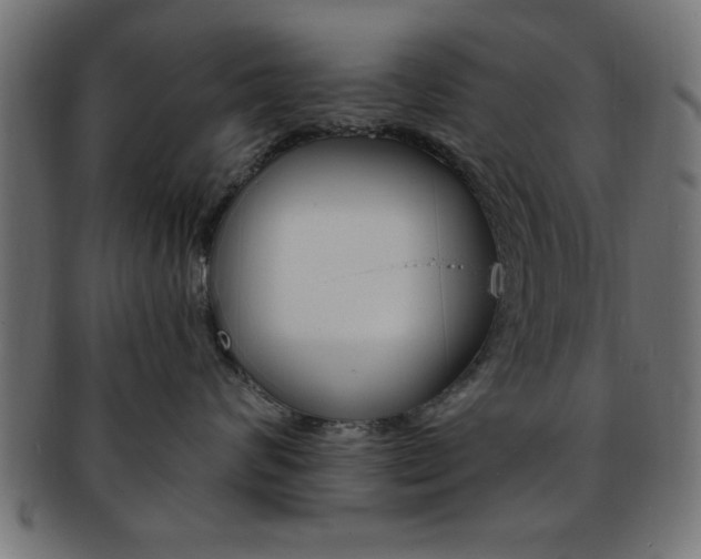 X0000094080624200710190919