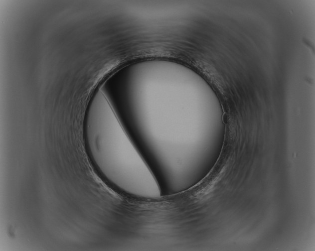 X0000094080625200710190918