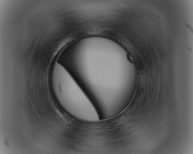 X0000094080626200710190918