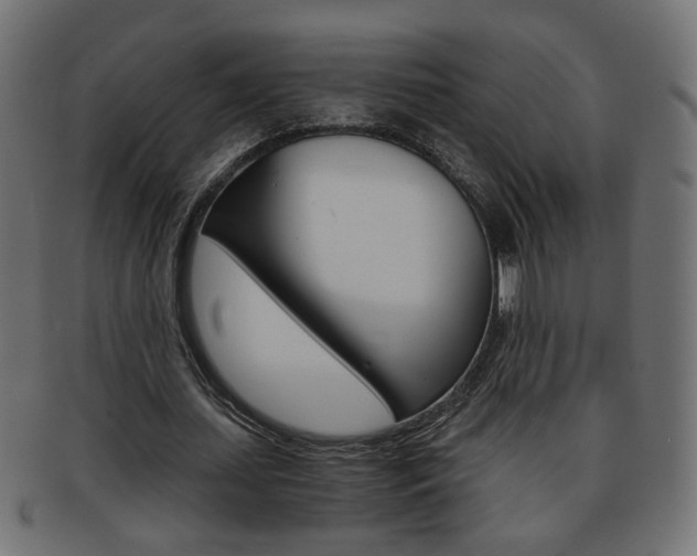 X0000094080627200710190918