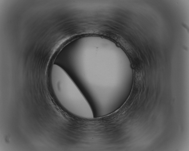 X0000094080628200710190918