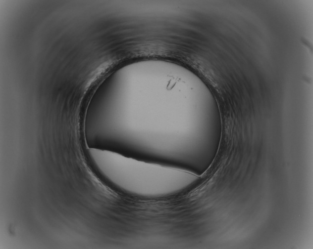 X0000094080629200710190918