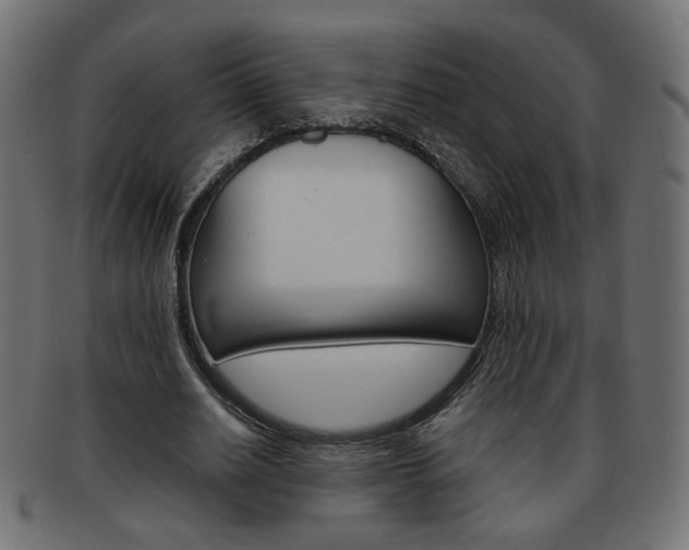 X0000094080630200710190918