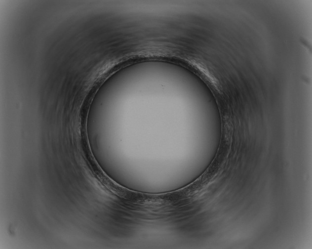 X0000094080631200710190918