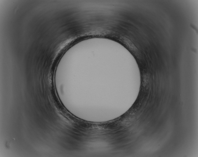 X0000094080632200710190918