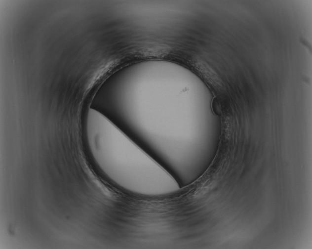 X0000094080634200710190918