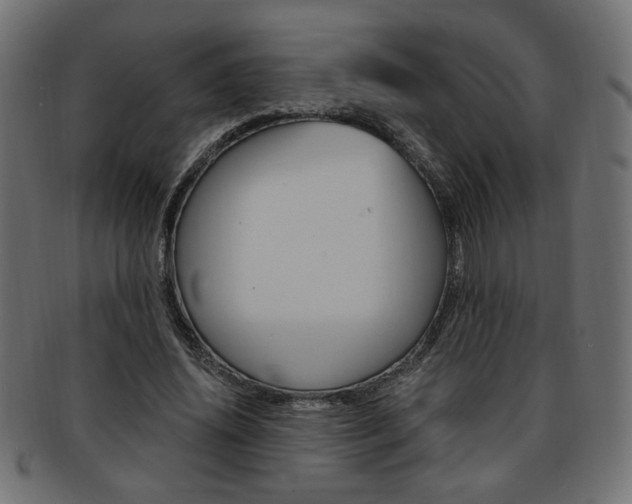 X0000094080636200710190918