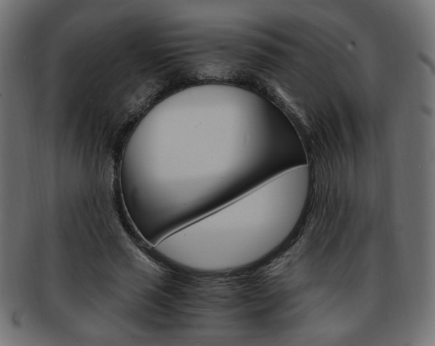 X0000094080637200710190918