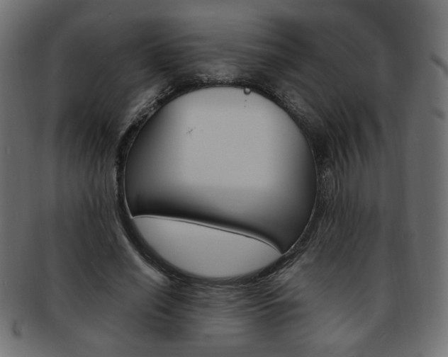 X0000094080638200710190918