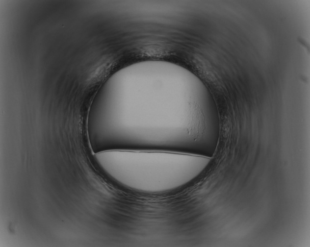 X0000094080639200710190918
