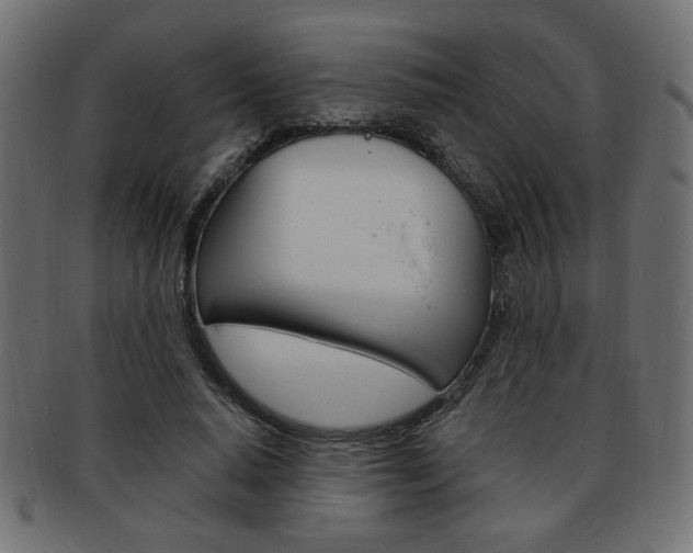 X0000094080640200710190918