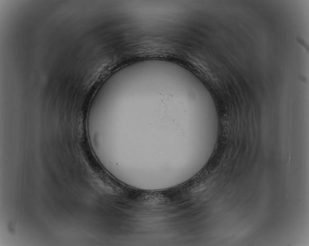 X0000094080642200710190918