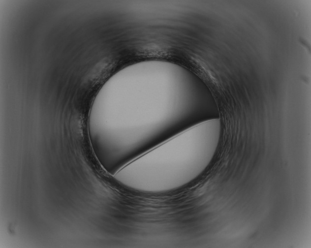 X0000094080643200710190918