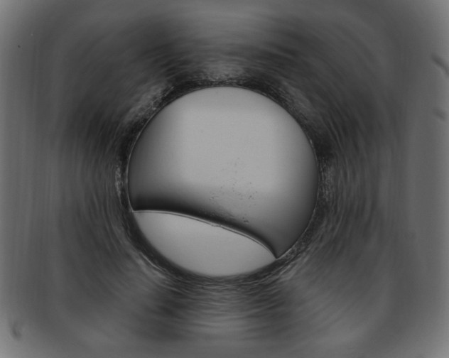 X0000094080644200710190918