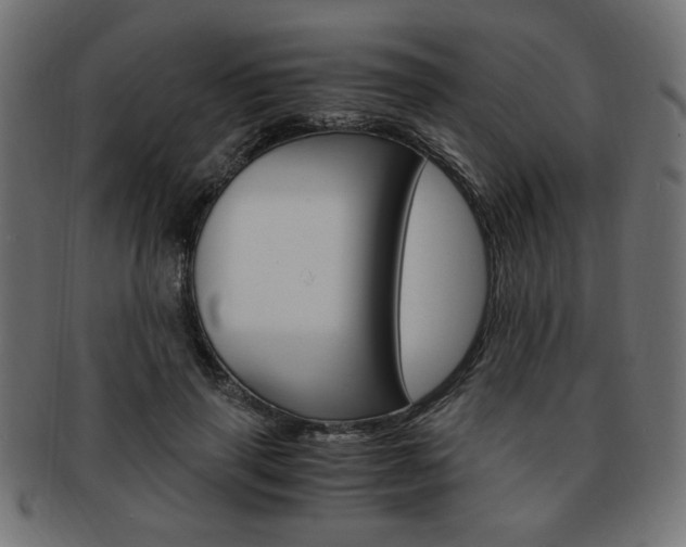 X0000094080645200710190919