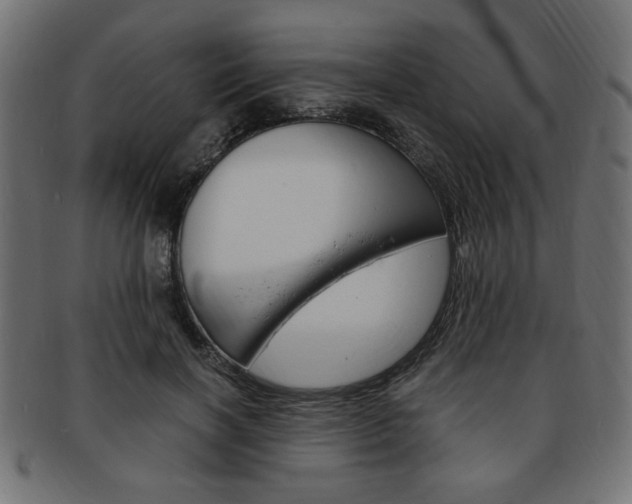 X0000094080646200710190919