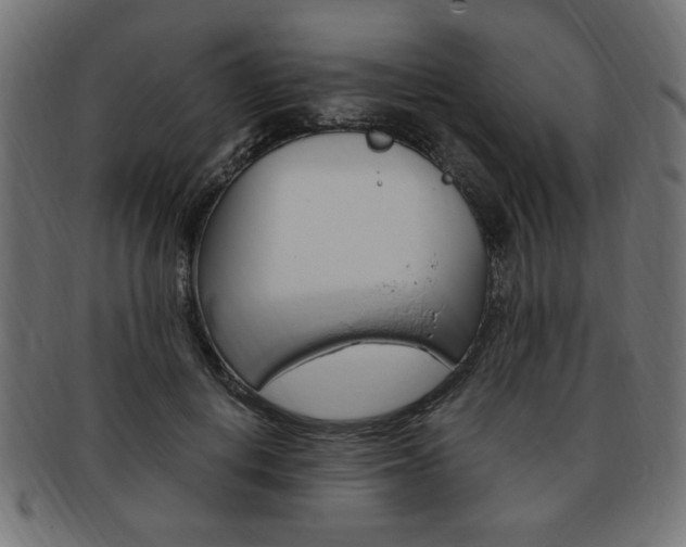 X0000094080648200710190919