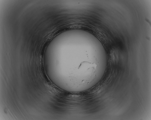 X0000094080649200710190919