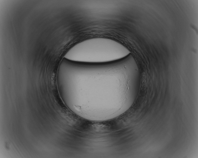 X0000094080650200710190919