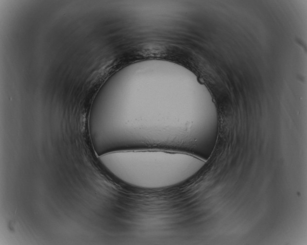 X0000094080652200710190919