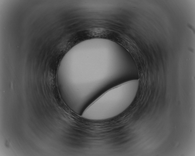 X0000094080653200710190919