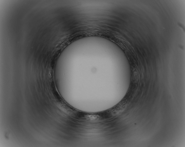 X0000094080654200710190919