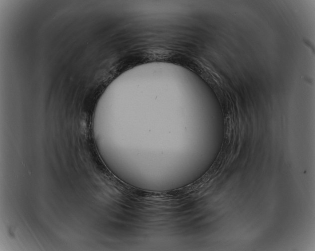 X0000094080655200710190919