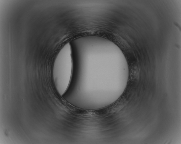 X0000094080656200710190919