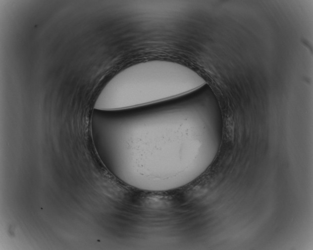 X0000094080657200710190919