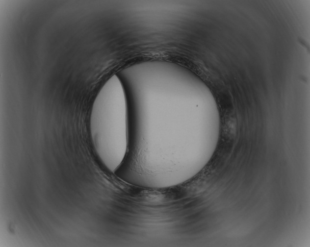X0000094080658200710190919