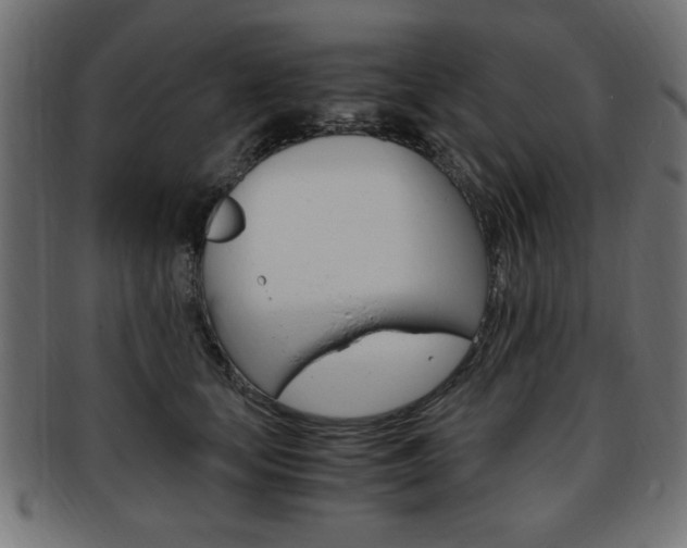 X0000094080659200710190919