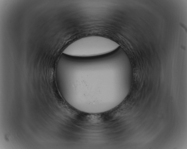 X0000094080660200710190919