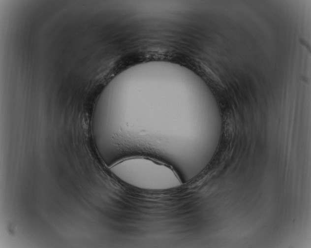 X0000094080661200710190919