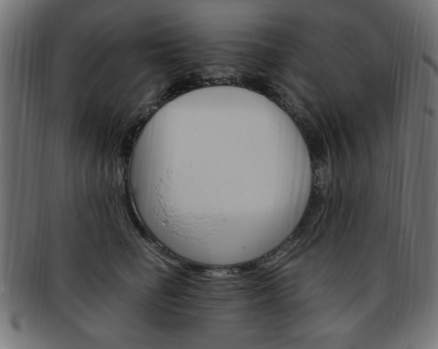 X0000094080662200710190919