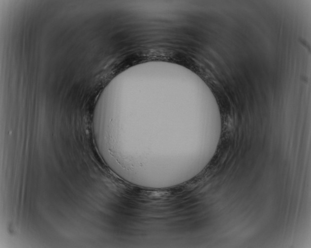 X0000094080663200710190919