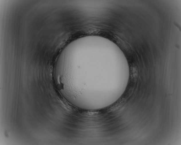 X0000094080664200710190919