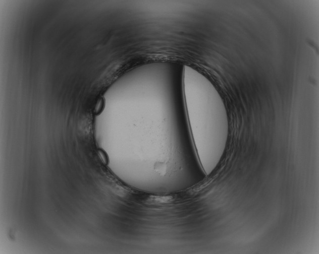 X0000094080665200710190919
