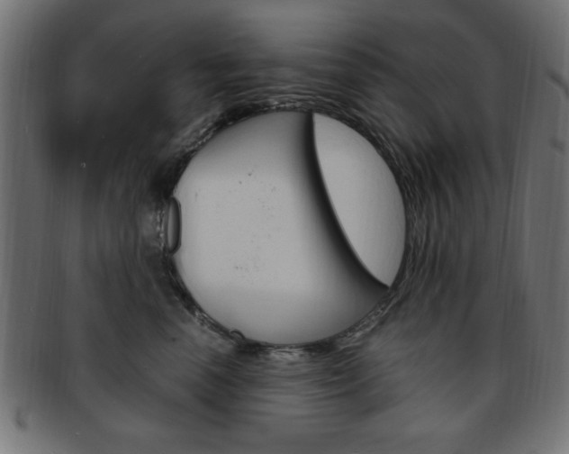 X0000094080666200710190919