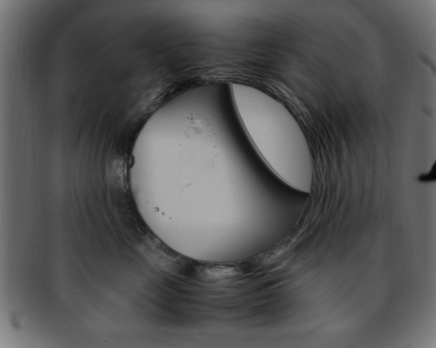 X0000094080669200710190919
