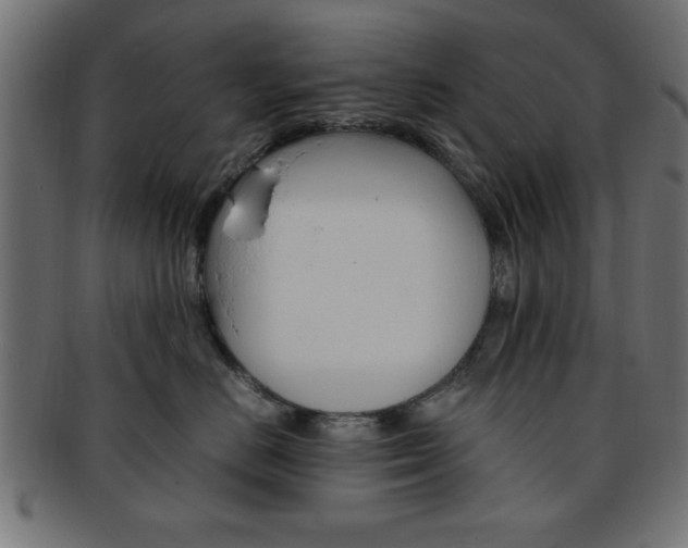 X0000094080670200710190919