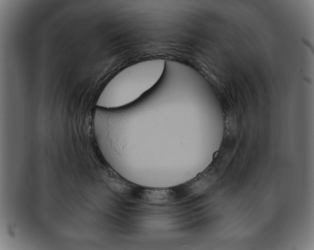 X0000094080671200710190919